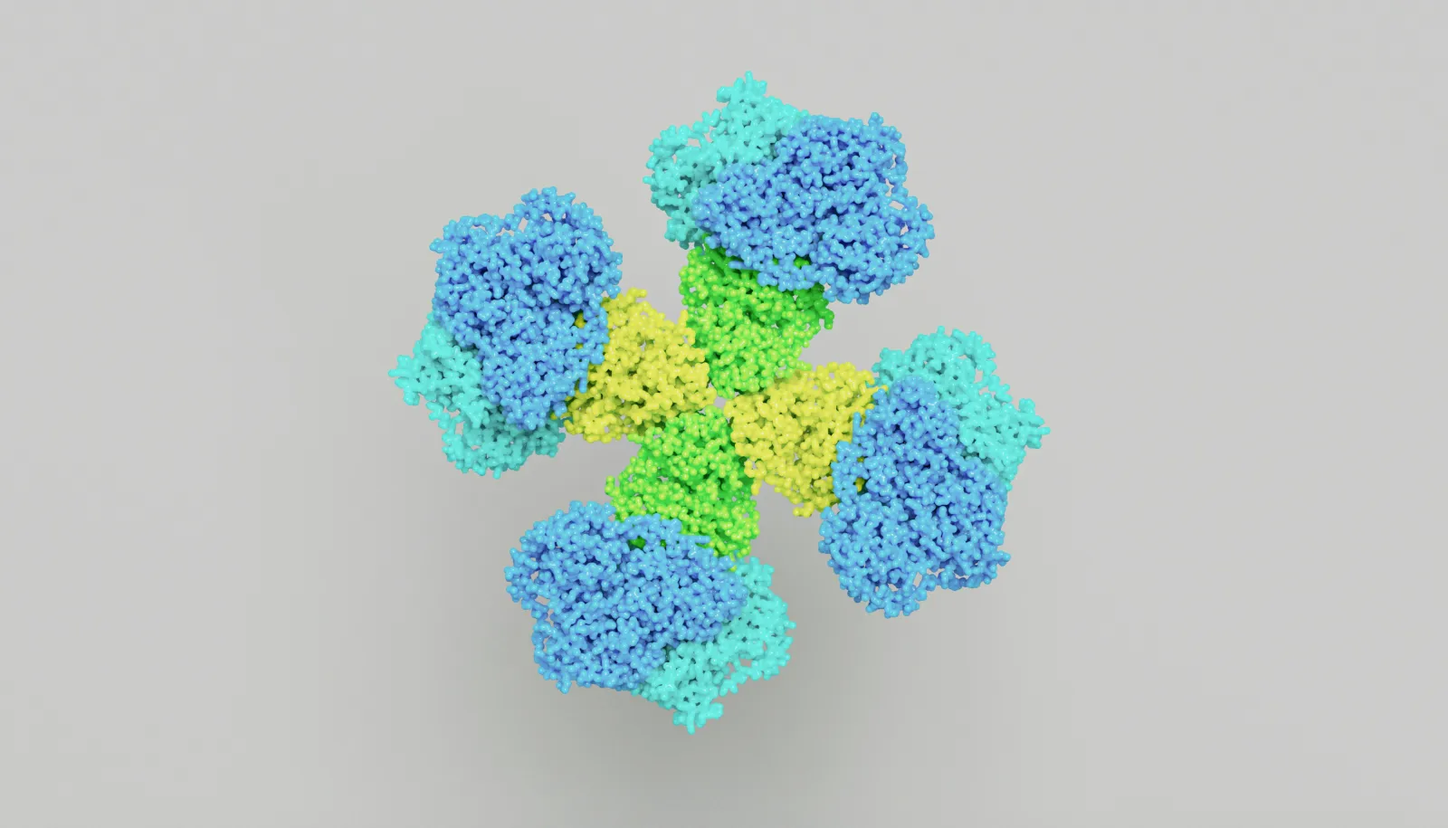 Nahaufnahme von Aminozellen - Immunologie-Lernleitfaden