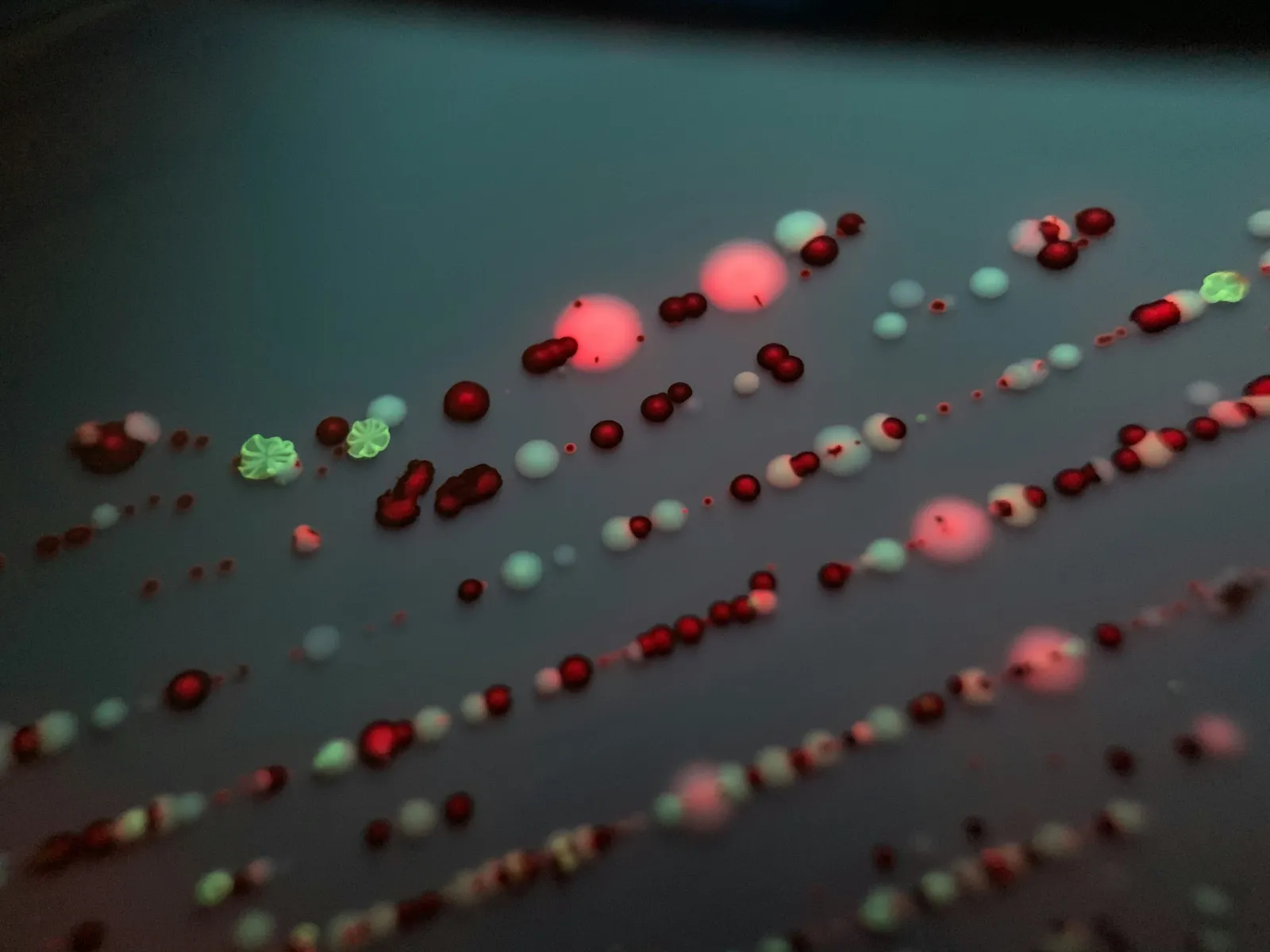 microrganismi sotto luce UV - come superare microbiologia