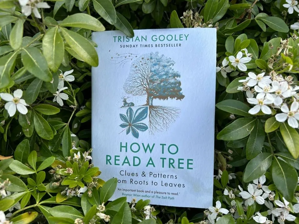 Conférence en ligne avec Tristan Gooley : Comment lire un arbre – Gilbert Whites House