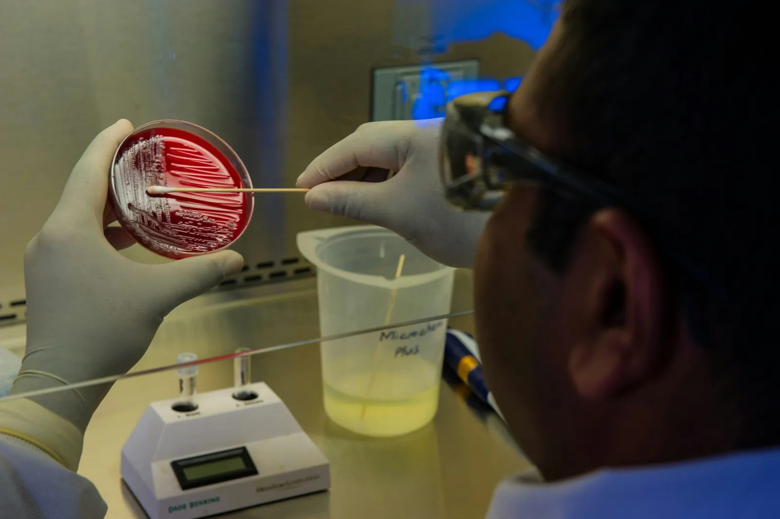 ufficiale medico che testa il DNA - come superare microbiologia
