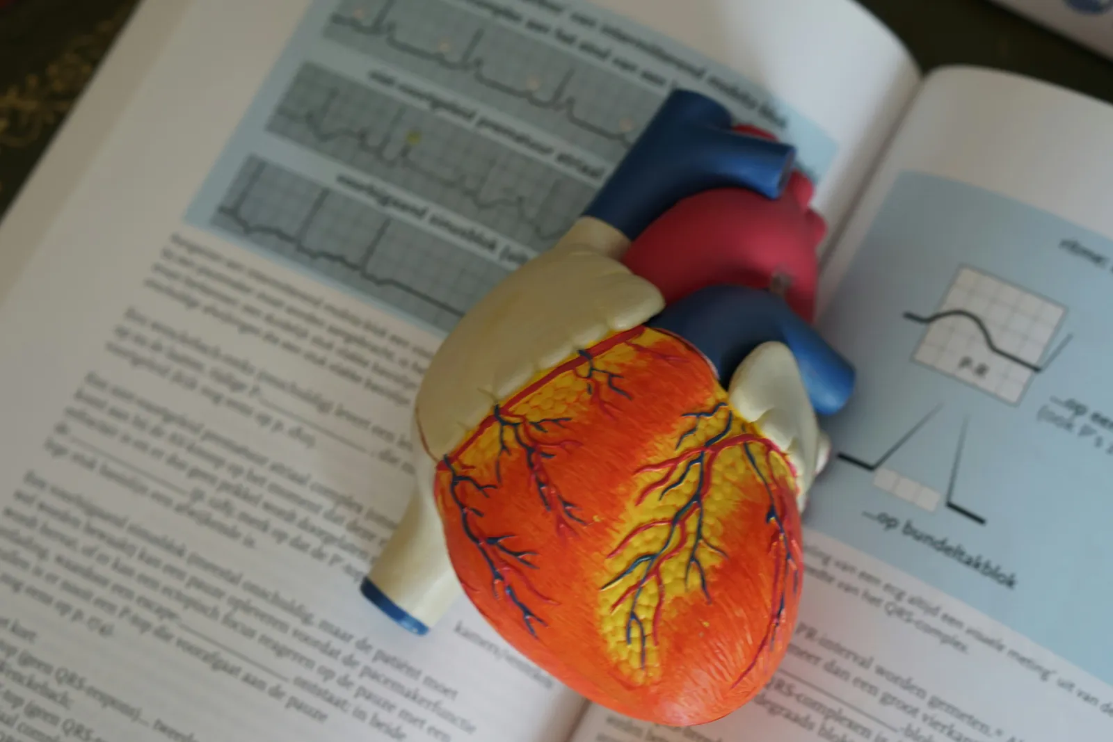 lettura di un libro di medicina e utilizzo dei migliori test pratici mcat