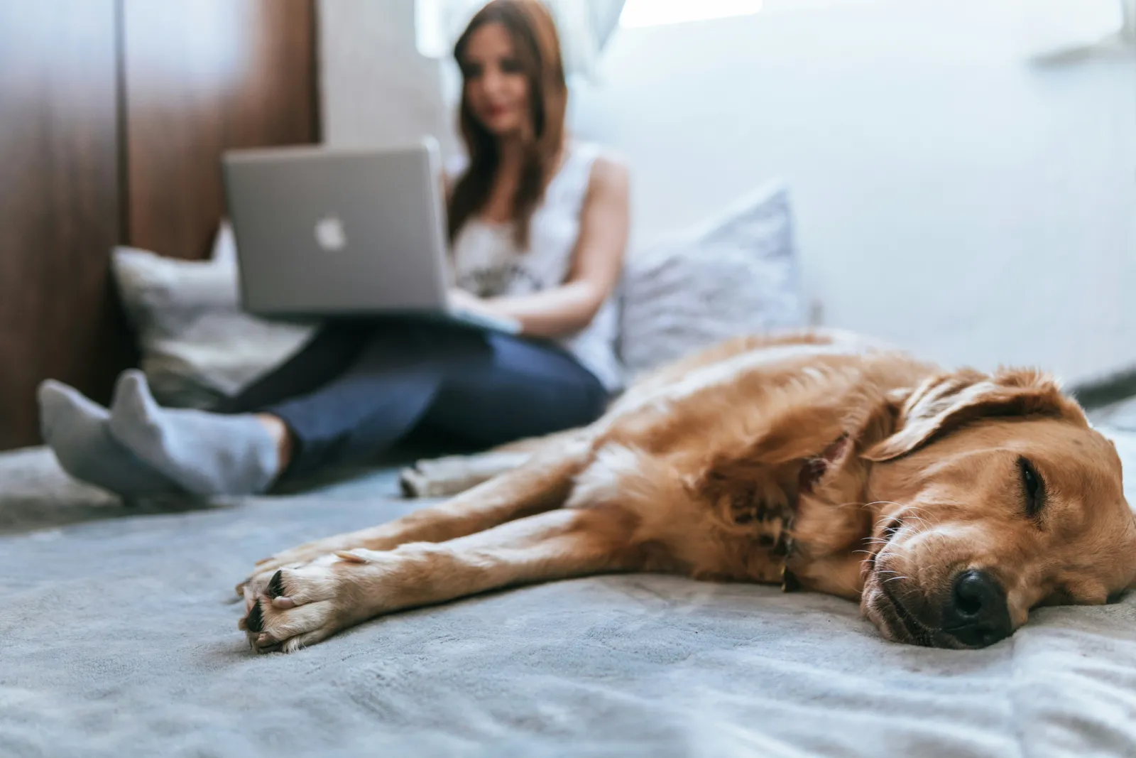 Student mit Hund auf dem Bett - Lernwerkzeuge für das Medizinstudium