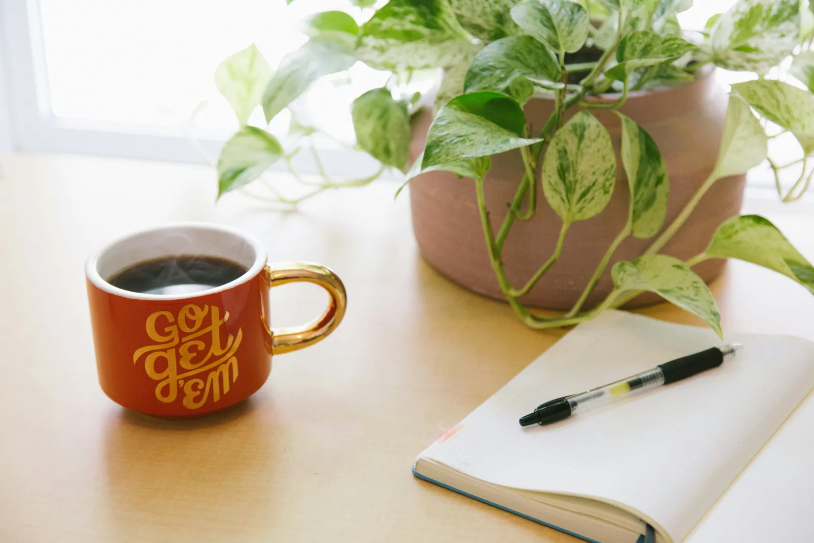 um livro com café em uma mesa de estudo - quanto tempo duram os shelf exams