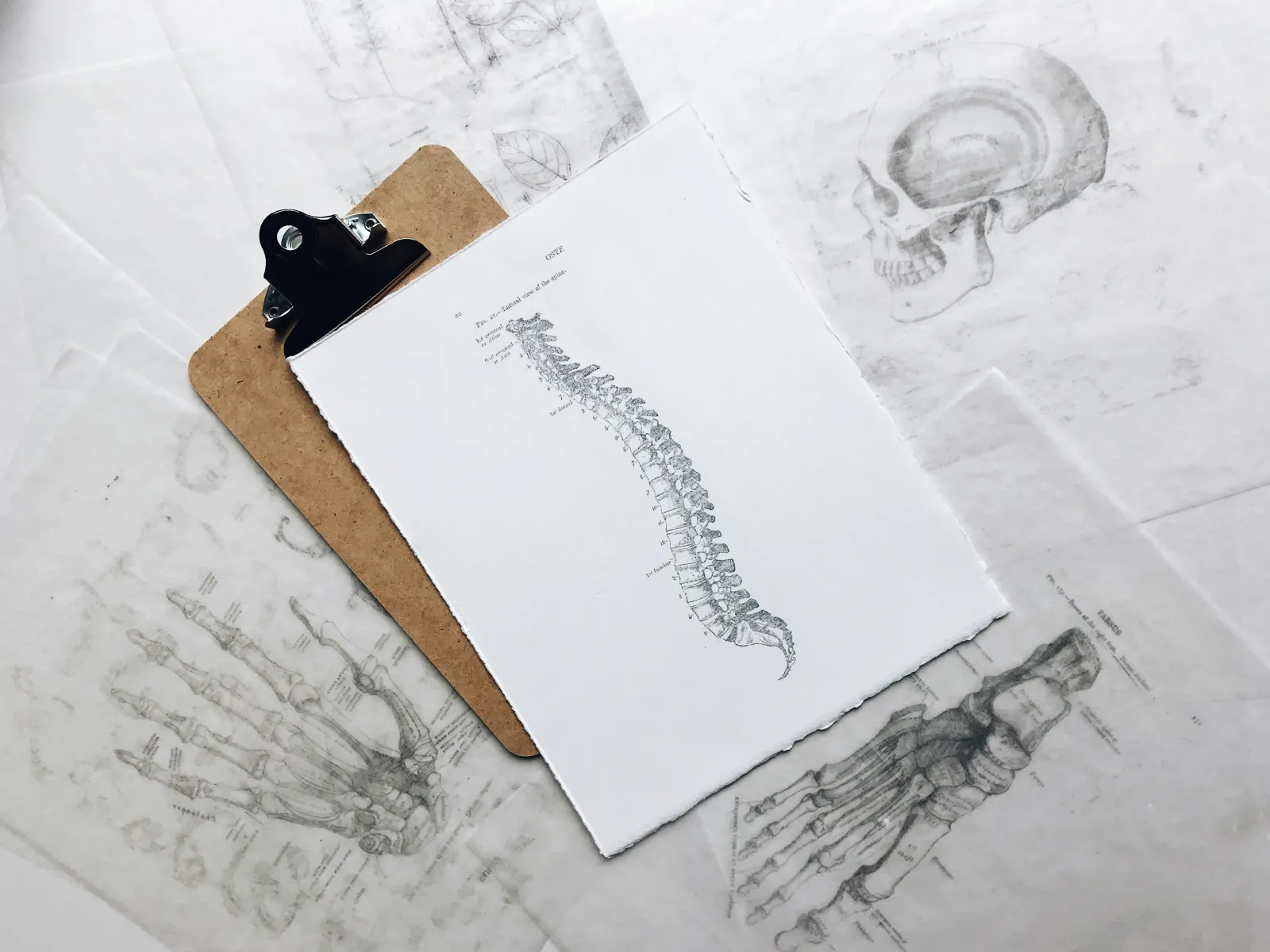 taong gumagamit ng diagram upang matuto ng mga konsepto - paano mag-aral ng anatomy
