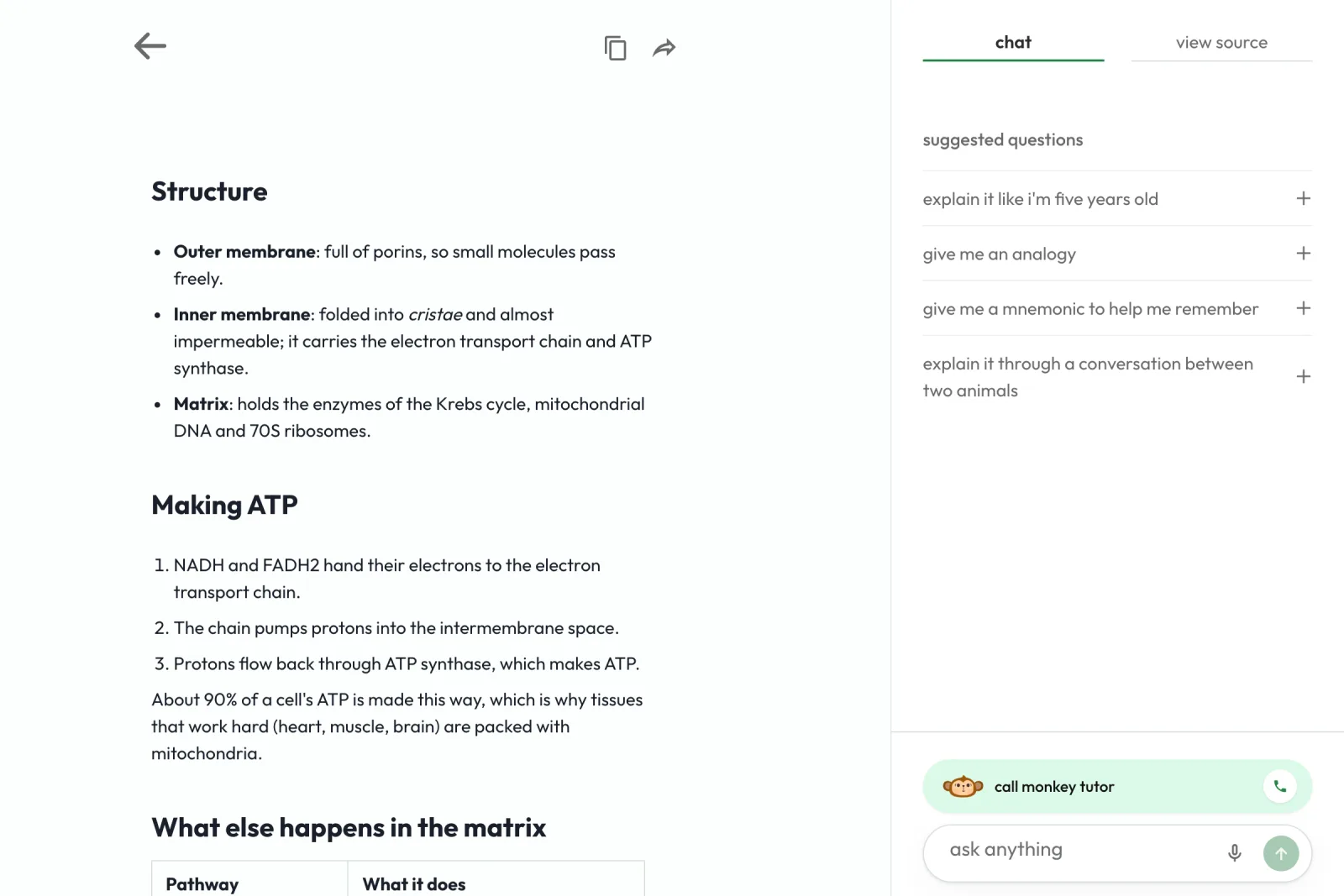 study notes jungle made from a document, with headings and bullet points, beside a chat with suggested questions